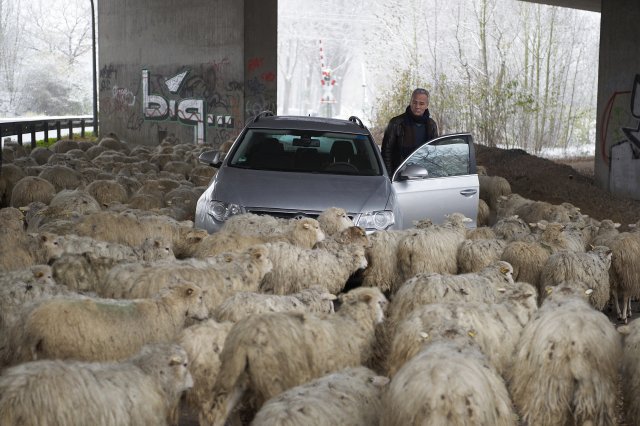 Keine Polizei - Still 7