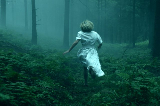 Das Geheimnis des Totenwaldes Still 8