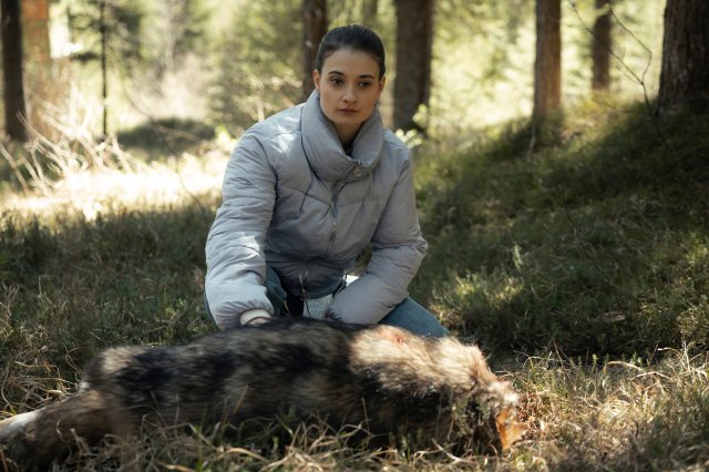 “Der Garmisch-Krimi - Wolfsmord“: Daphne Meindl (Philine Schmölzer) kniet auf einer Lichtung im Wald. Sie blickt nachdenklich auf die Leiche eines vor ihr liegenden Wolfs, dessen Kopf abgetrennt wurde.