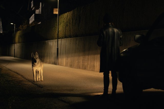 “Der Garmisch-Krimi - Wolfsmord“: Auf einer nur durch eine Straßenlaterne und Autoscheinwerfer beleuchteten Straße steht Ira Zach (Lavinia Wilson) in ihrem schwarzen Ledermantel. Sie steht neben ihrem Auto mit dem Rücken zur Kamera im Schatten der Nacht. Im Lichtkegel ihr gegenüber steht ein Wolf auf der Straße und sieht sie an.